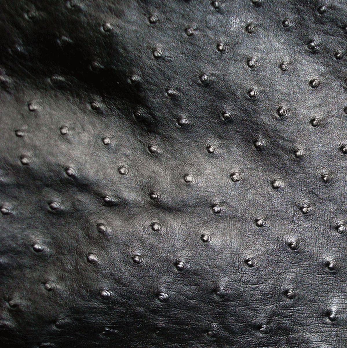 Italian Ostrich Leather | Hide & Leather House